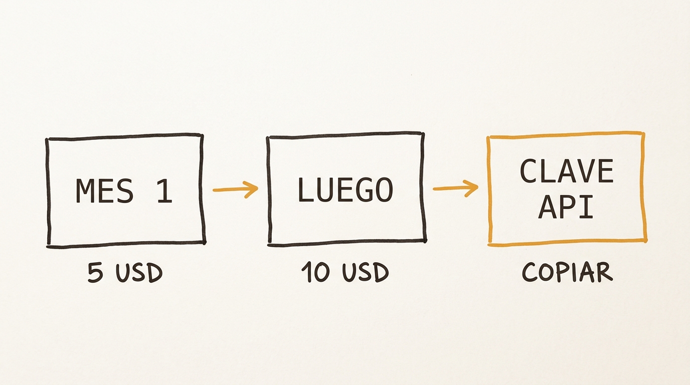 Mes 1: 5 USD. Luego: 10 USD. Después, la clave API